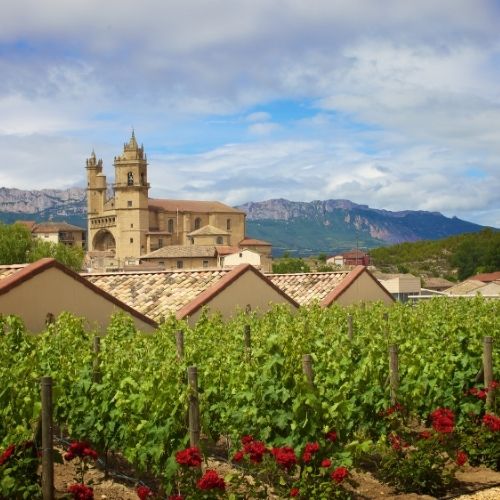 Texas Hill Country Wineries