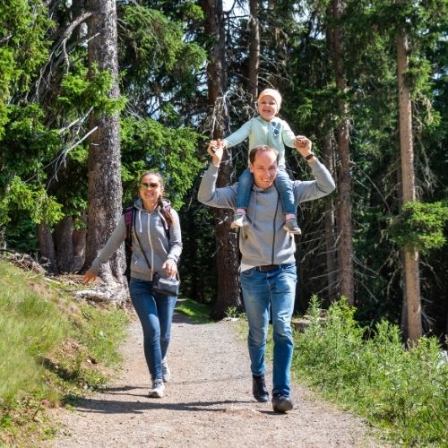 Shaded Hiking Trails Austin Locals Use During Summer Heat
