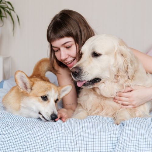 Best pet friendly accommodations in Austin,Tx