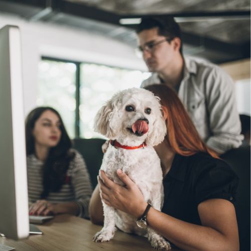 Austin Pet-Friendly Patios: Which Restaurants Offer Special Treats?